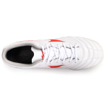 Mizuno Monarcida