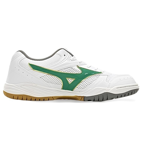 Mizuno School Indoor