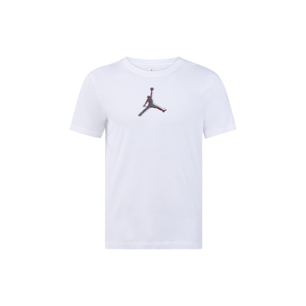 Jordan Dri-FIT logo T
