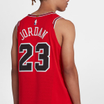Jordan NBA Icon Edition Authentic Jersey (Chicago Bulls) AU