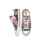 Converse Chuck Taylor All Star Low
