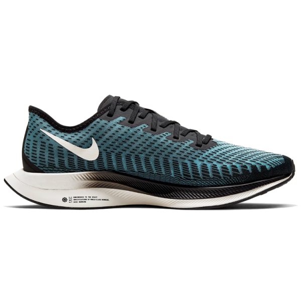 Nike Pegasus turbo 2