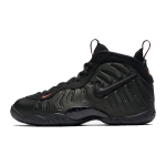Nike Foamposite Pro