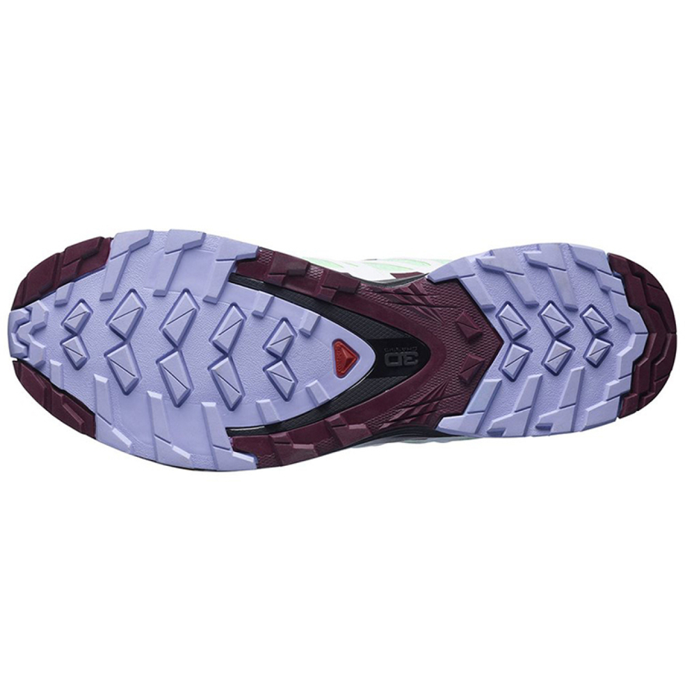 SALOMON XA Pro 3D V8 Gtx