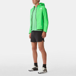 THE NORTH FACE Logo