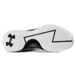Under Armour Curry 1 MVP 1 TPU