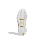 Adidas D lillard 8 "Laheem The Dream" 8 TPU