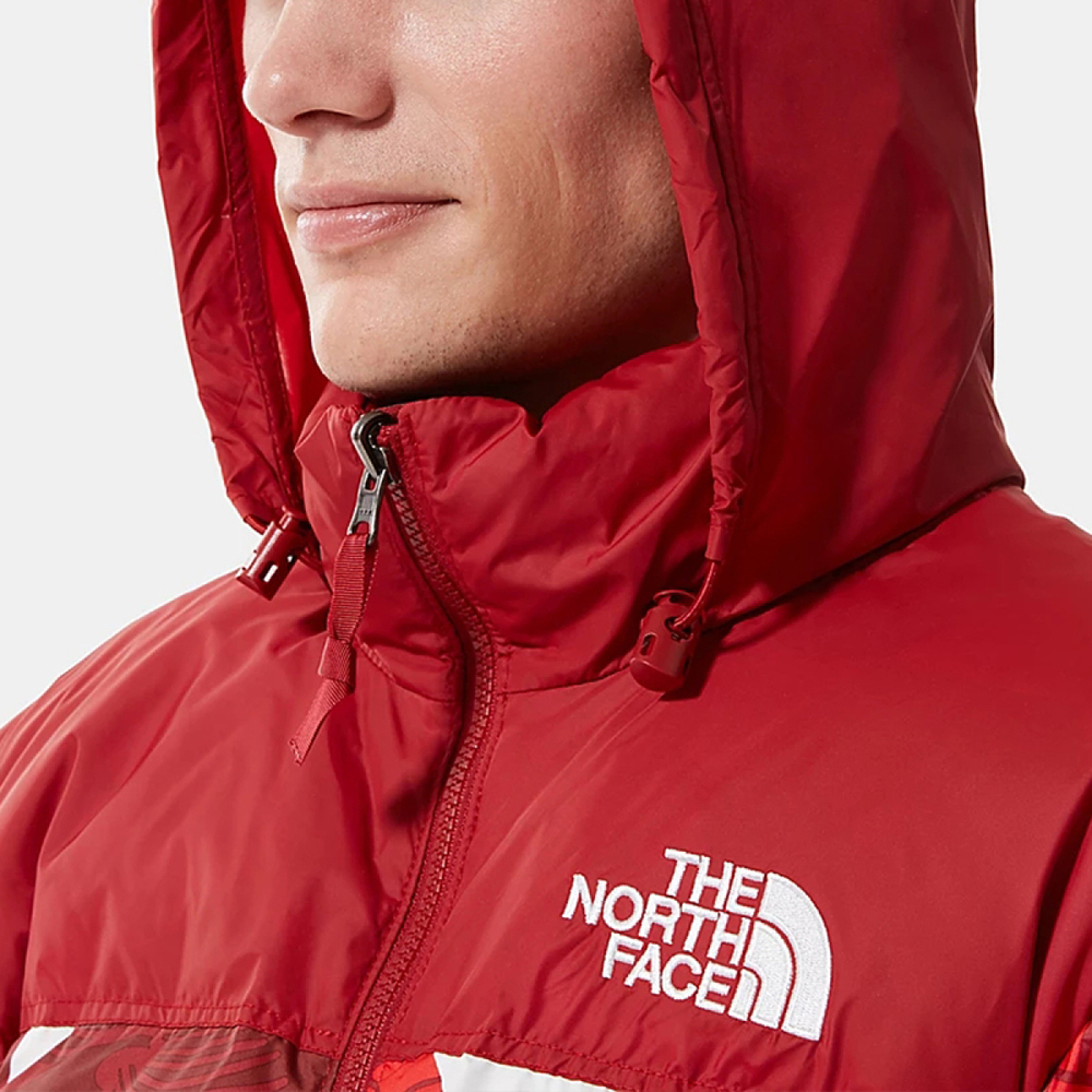 THE NORTH FACE Retro Nuptse 700