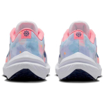 Nike Air Winflo 10