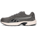 PUMA Axis