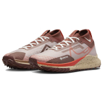Nike Pegasus Trail 4 Gore-Tex