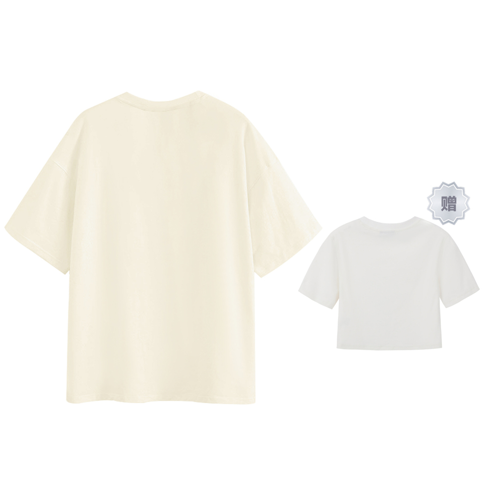 ICONS Lab SS23 ics T