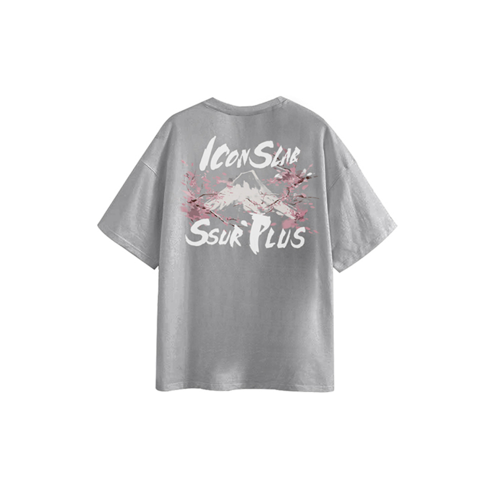 ICONS Lab T