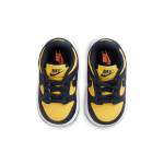 Nike Dunk