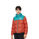 THE NORTH FACE 1996 Retro Nuptse 700