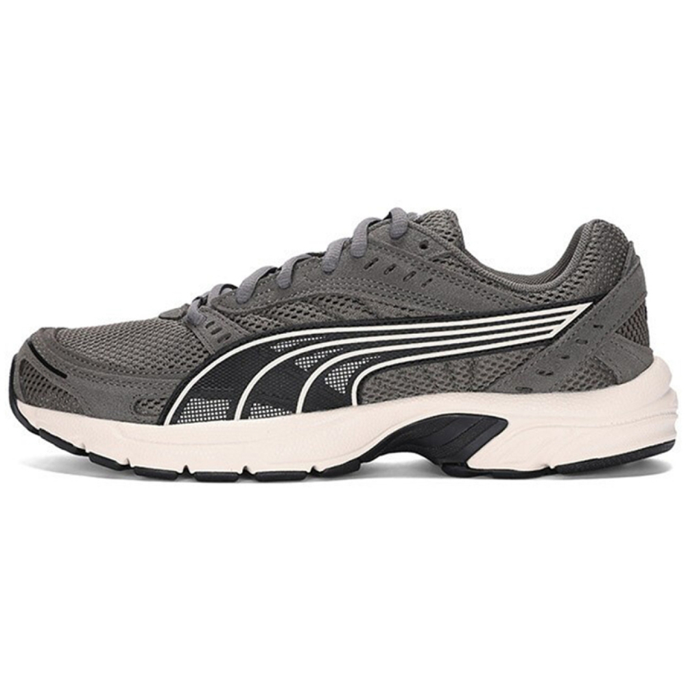 PUMA Axis