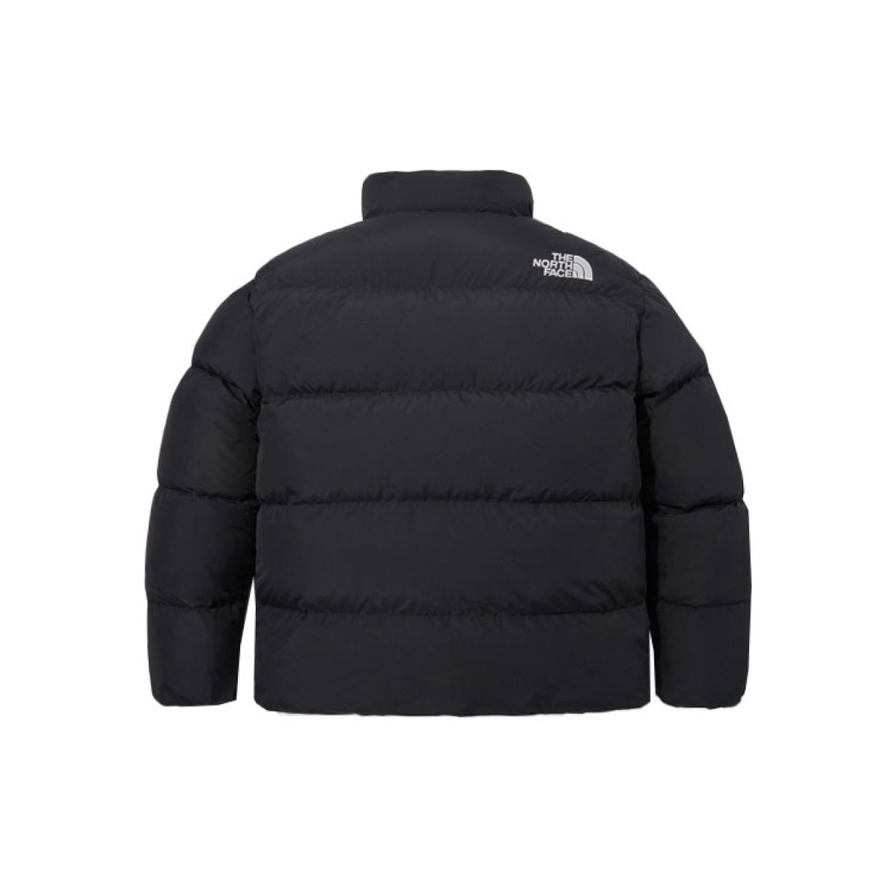 THE NORTH FACE LOFTY DOWN JACKET V2