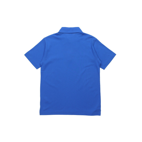 Champion Logo polo