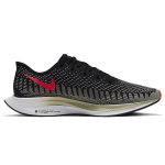Nike Pegasus turbo 2