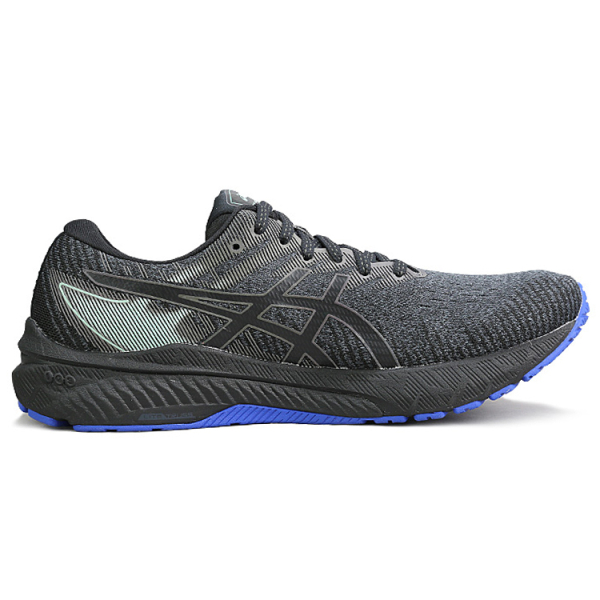 Asics GT-2000 10