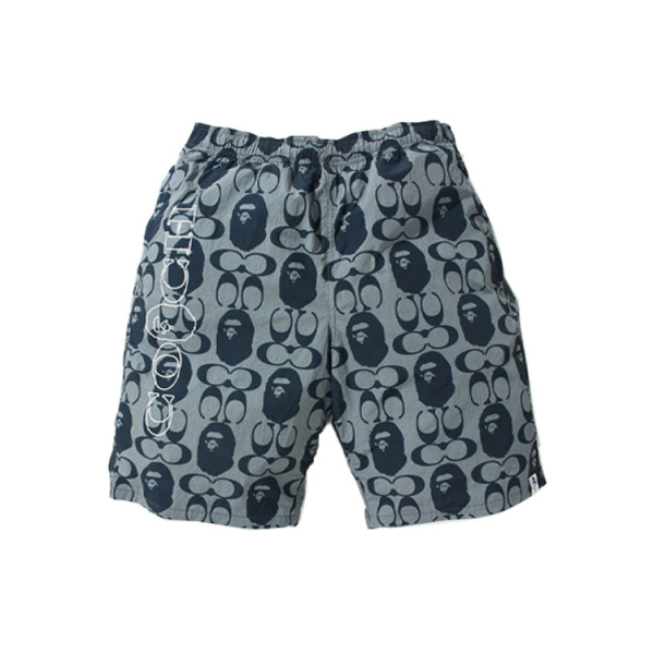 A BATHING APE x COACH Logo