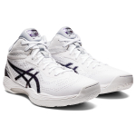 Asics Gel-Hoop V14