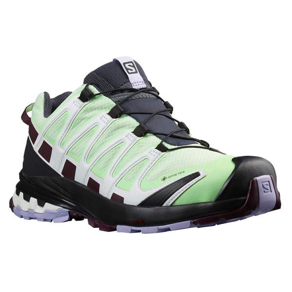 SALOMON XA Pro 3D V8 Gtx