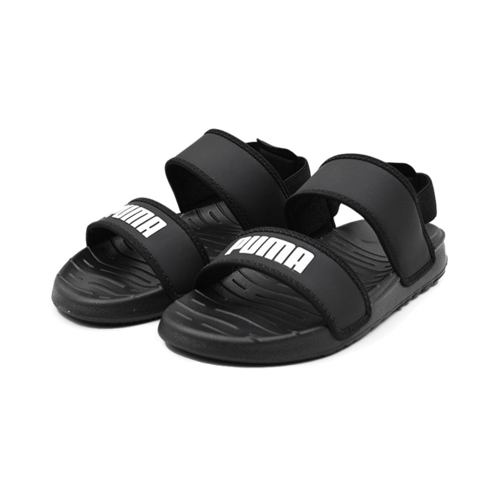 Puma Summer Cat