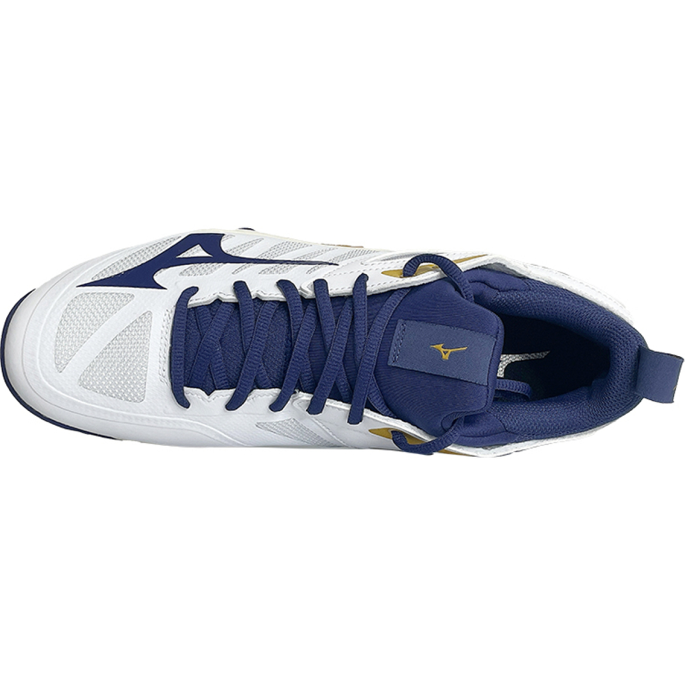 Mizuno