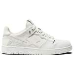 A BATHING APE SK8 URBAN FALL