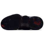 Nike Lebron 16 Fresh Bred 16