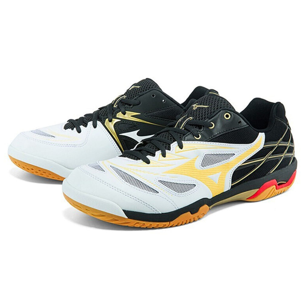 Mizuno Fang