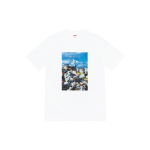Supreme 2022 FW22 Week 1 Trash Tee T