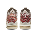 Nike Lebron 17