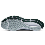 Nike Pegasus 37 Michigan State