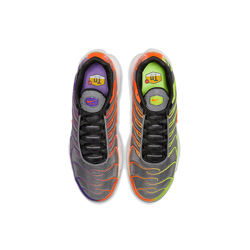 Nike Air Max Plus Color Flip