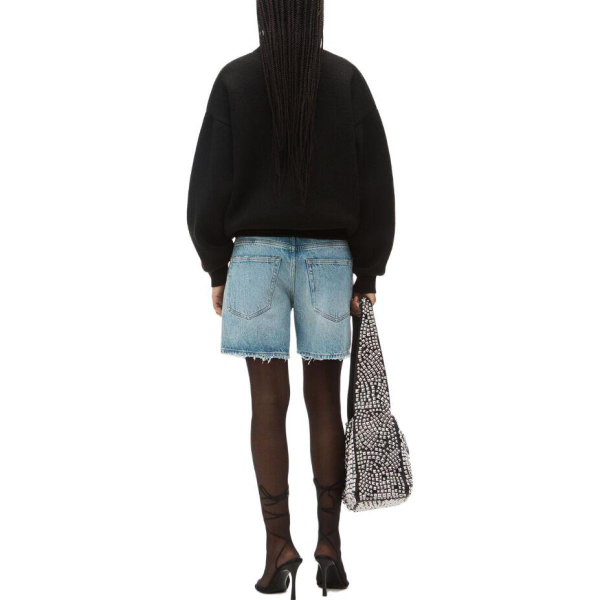 Alexander wang