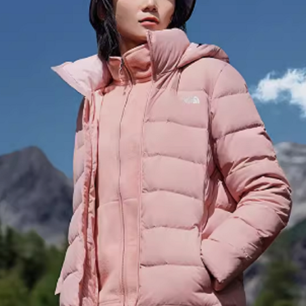 THE NORTH FACE Logo 550
