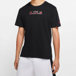 Nike Dri-Fit Lebron Logo T