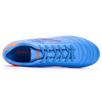 JOMA IC/IN