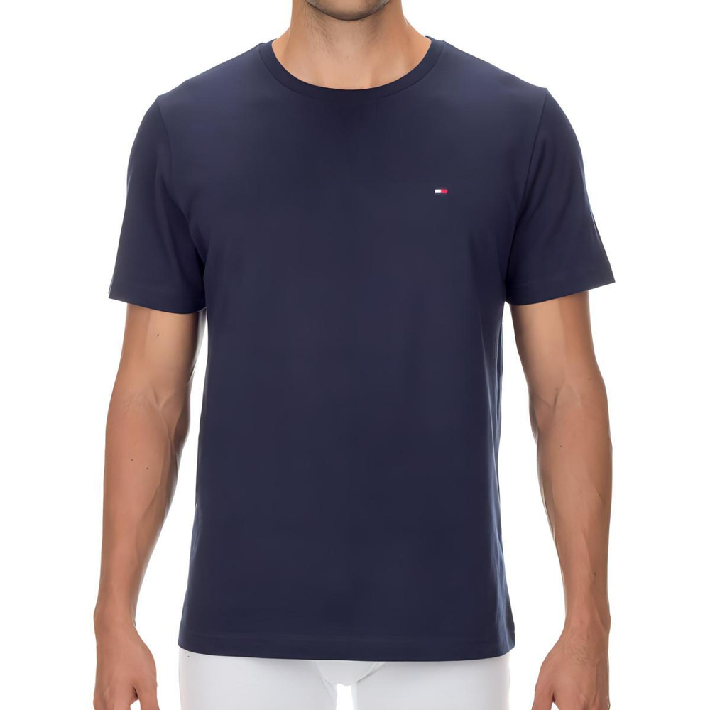 Tommy Hilfiger T
