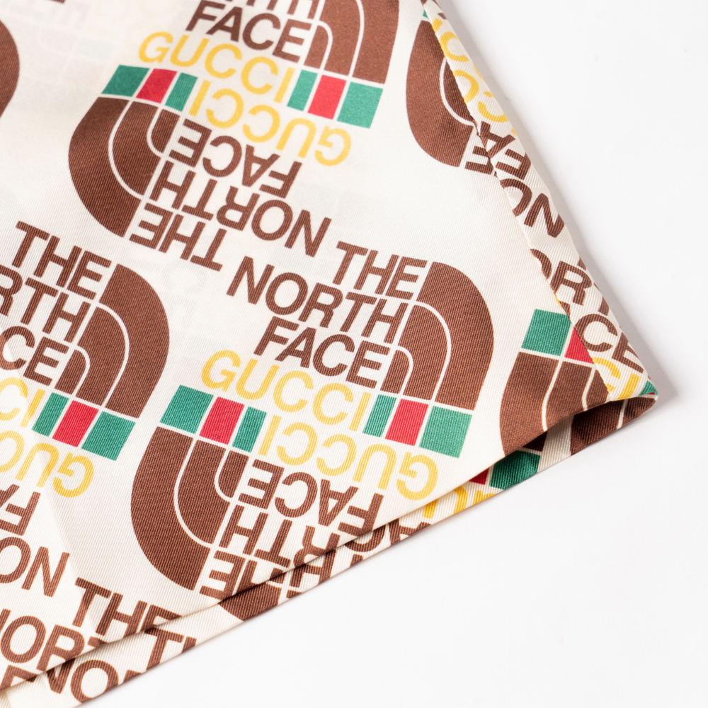 GUCCI x /THE NORTH FACE Logo
