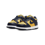Nike Dunk