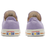 Converse Chuck Classic All Star