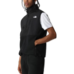 THE NORTH FACE Logo