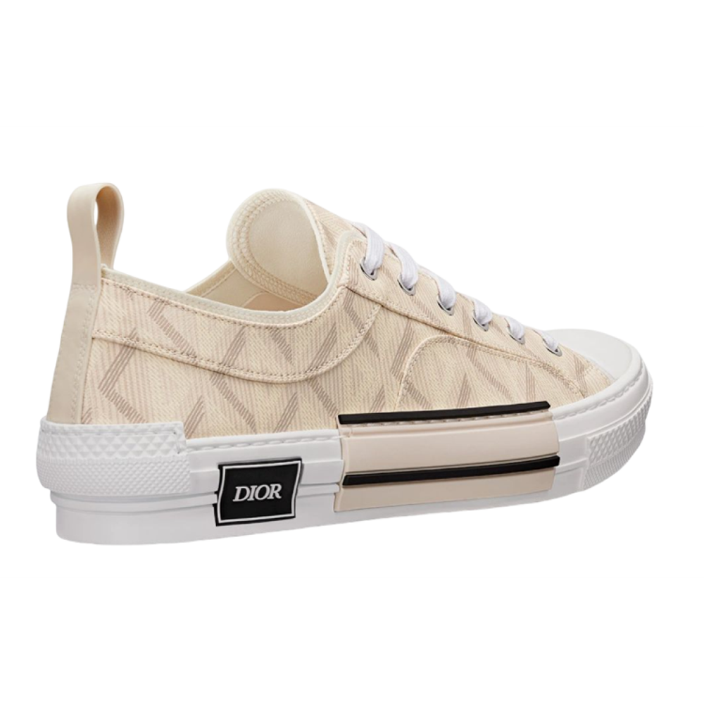 DIOR B23