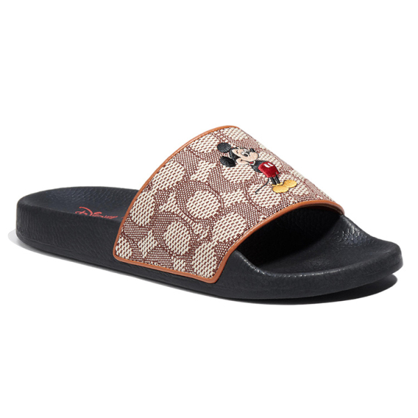 Disney/ x COACH