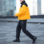 THE NORTH FACE 1996 ICON 700