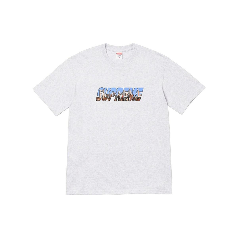 Supreme FW23 WEEK1 GOTHAM TEE Logo T