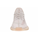 Adidas originals Yeezy Boost 350 V2 "Synth"